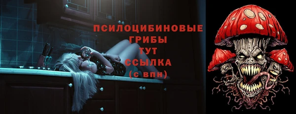 ECSTASY Иннополис