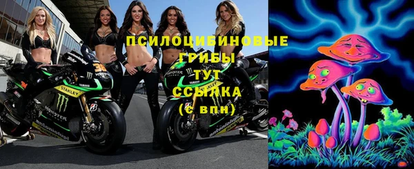 метадон Инсар