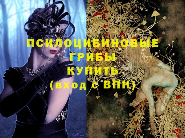 jwh Инта