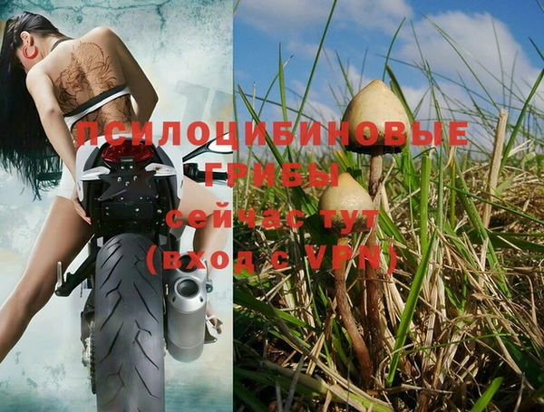 метадон Инсар