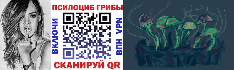 Псилоцибиновые грибы Psilocybine cubensis  Купить закладки  Кизел 